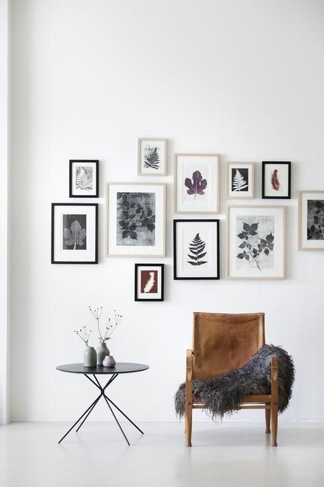 Decorative Frames