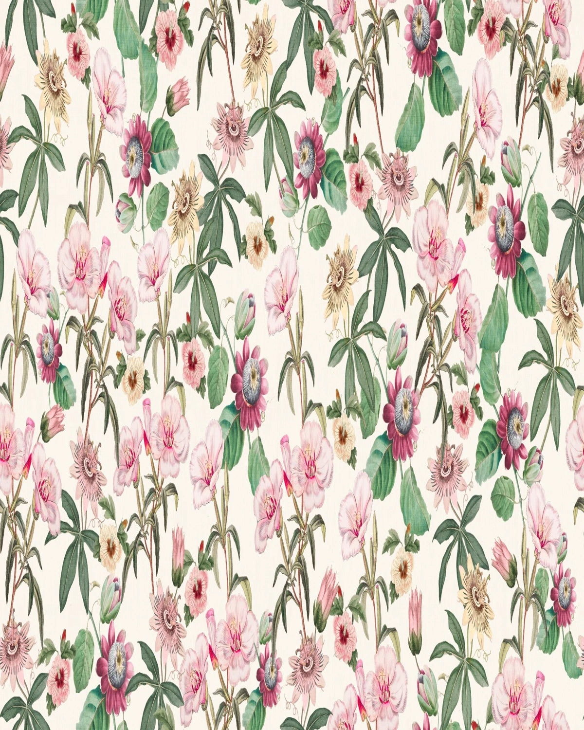 Tropical Vintage Passiflora & Hibiscus Wallpaper – Ivory Cream