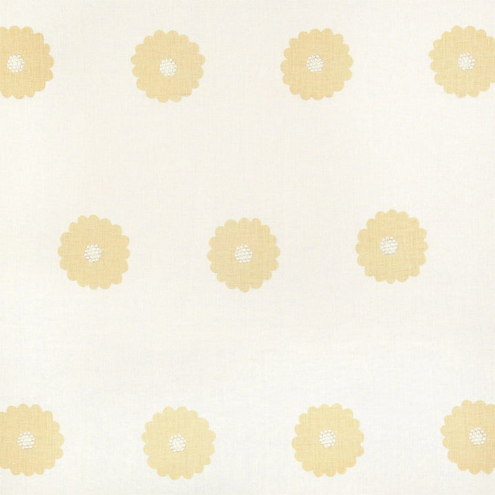 CHIETI LN302 IVORY CORN SILK