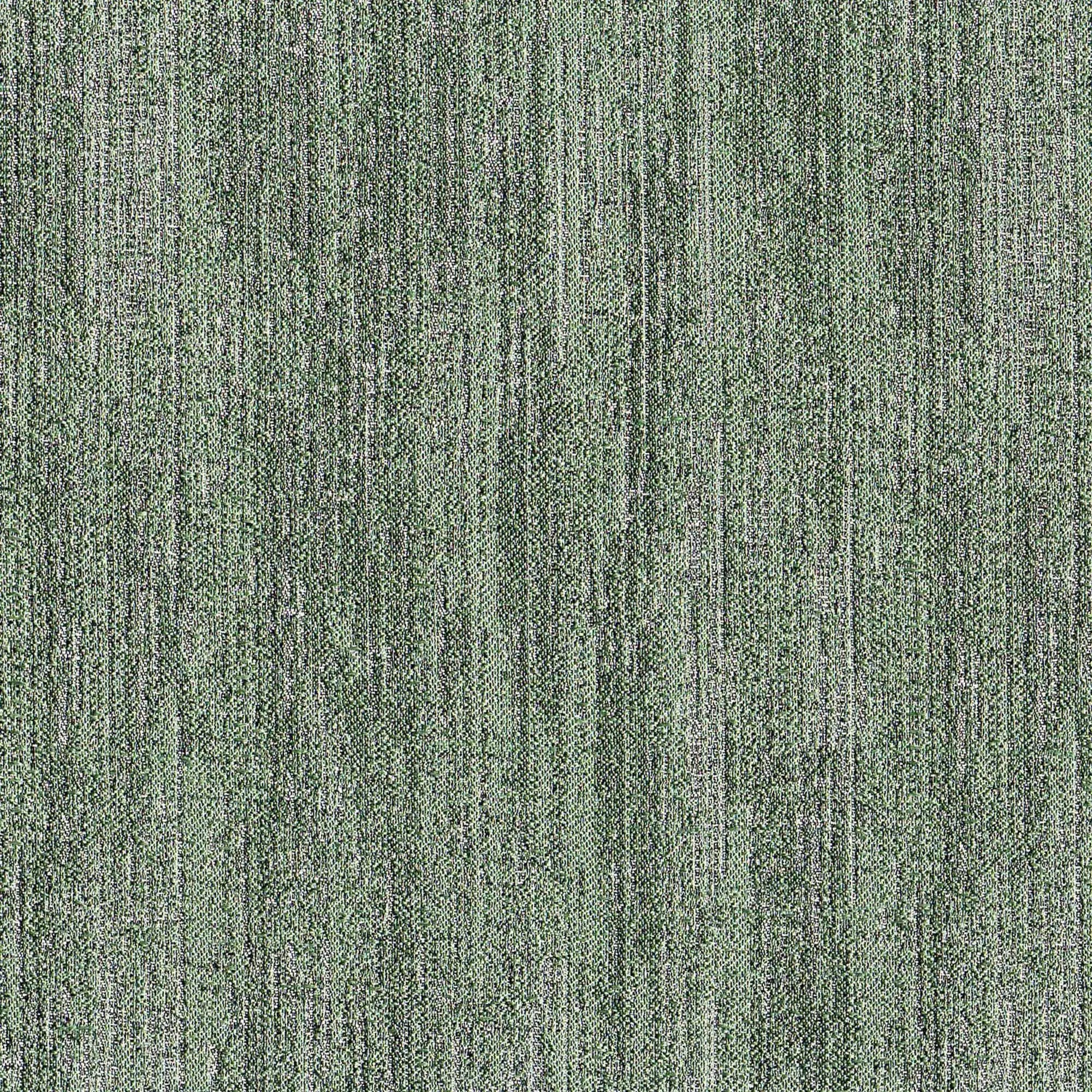 ERODE FERN