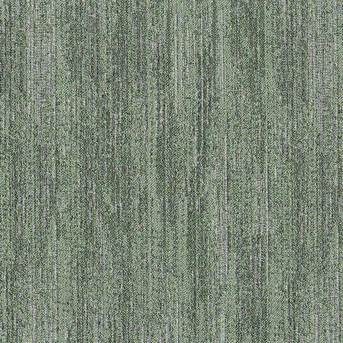 ERODE FERN