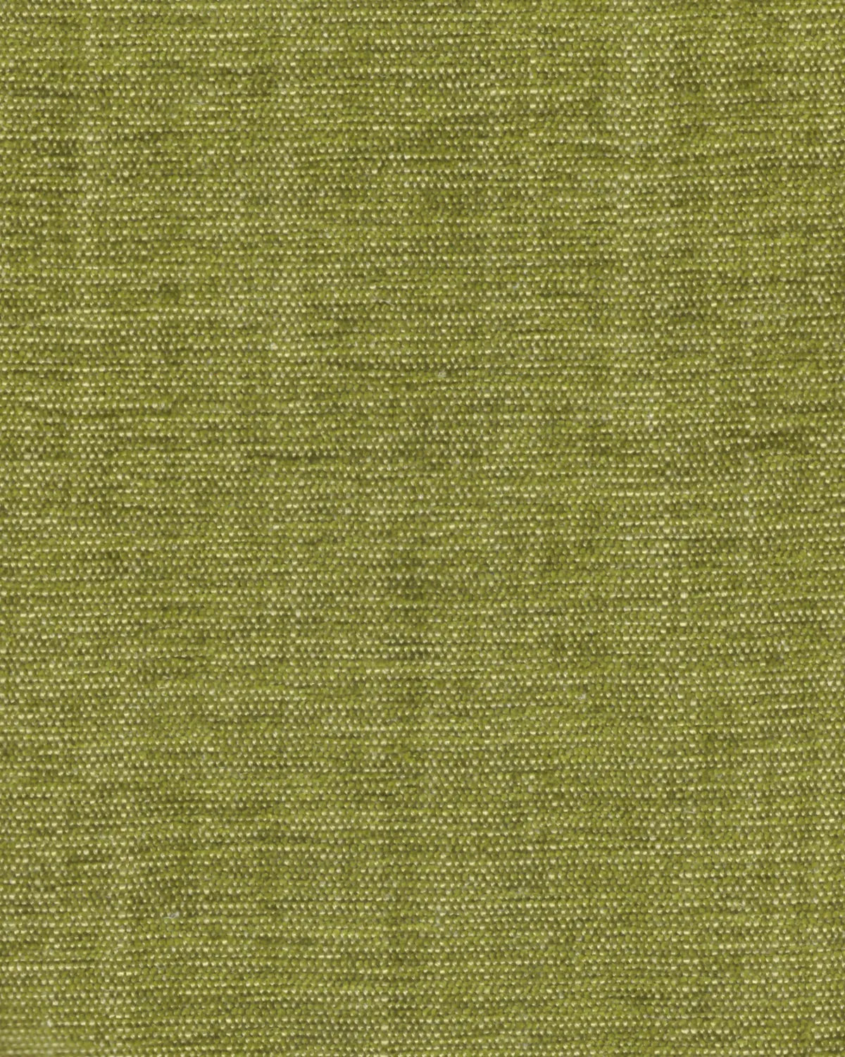 Benz Palm Upholstery Fabric