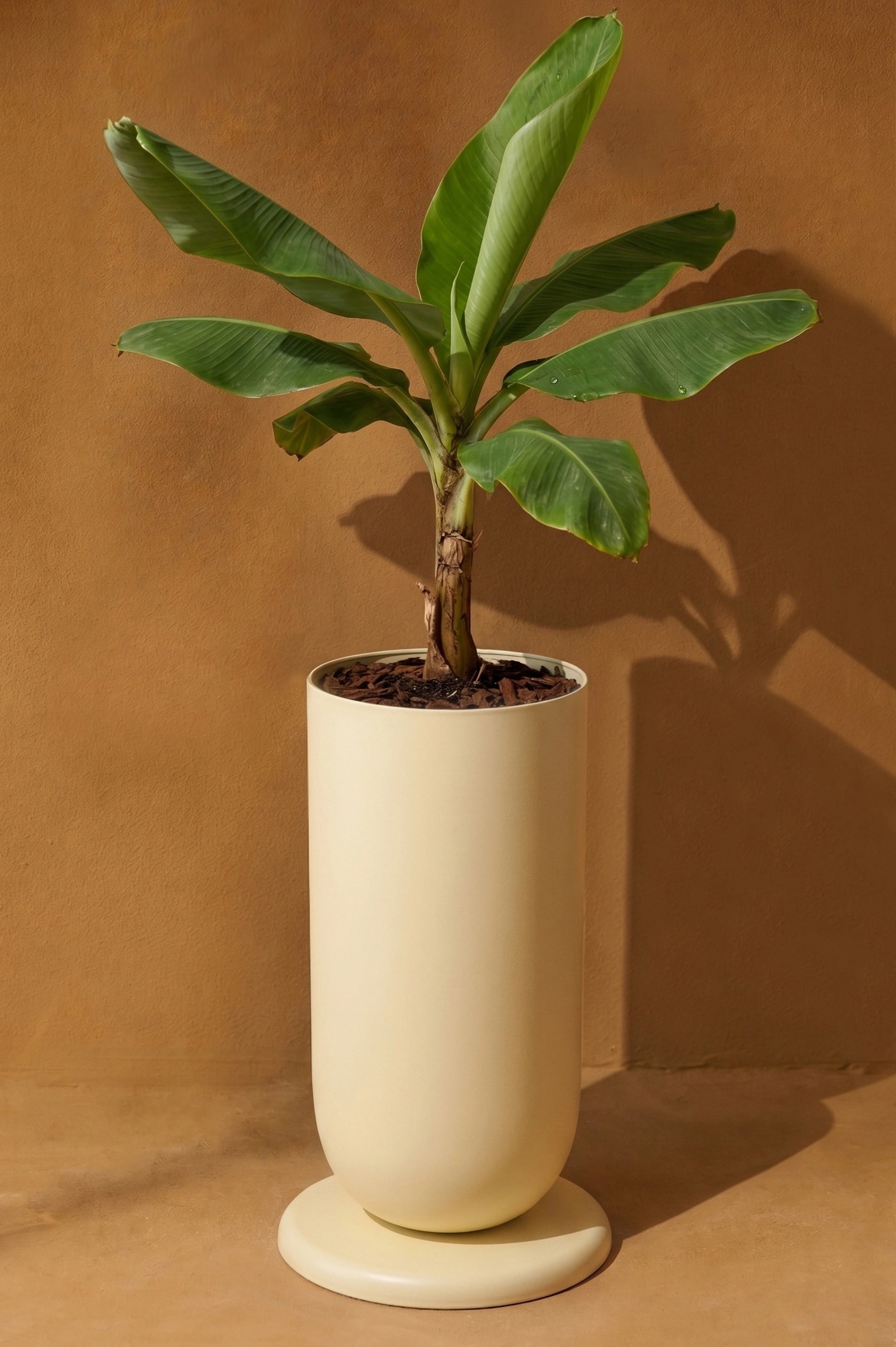 Loam Planter