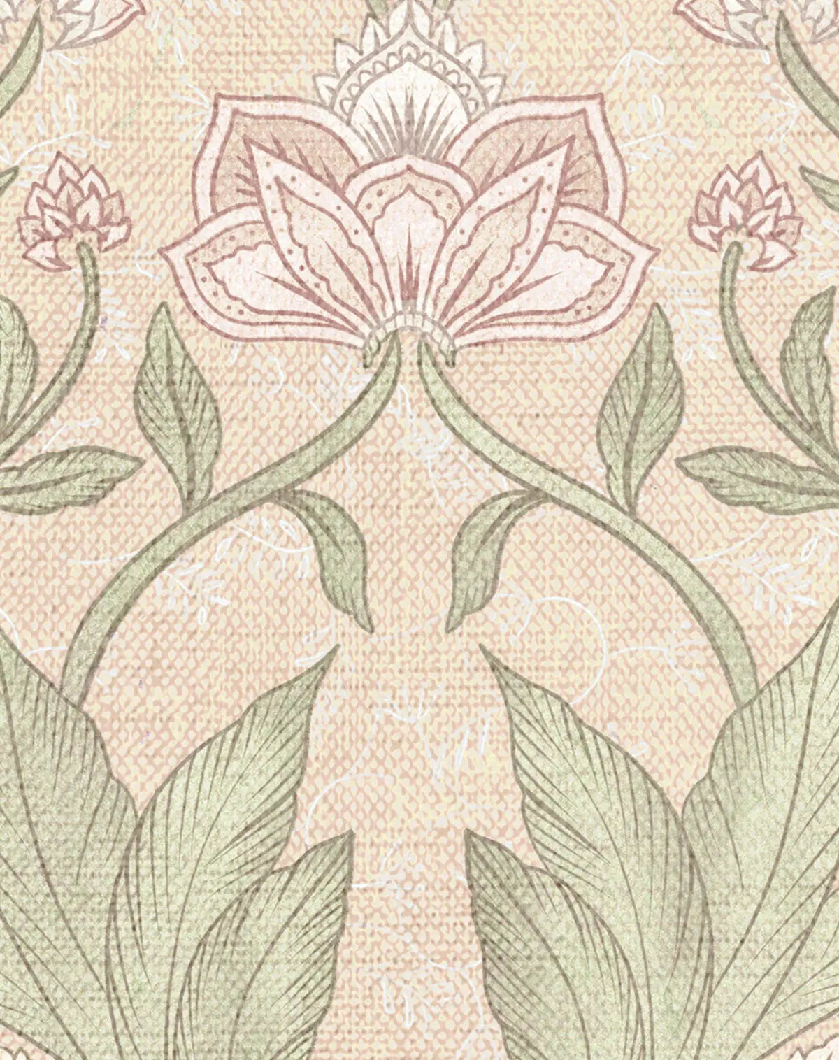 Lotus Peach Wallpaper