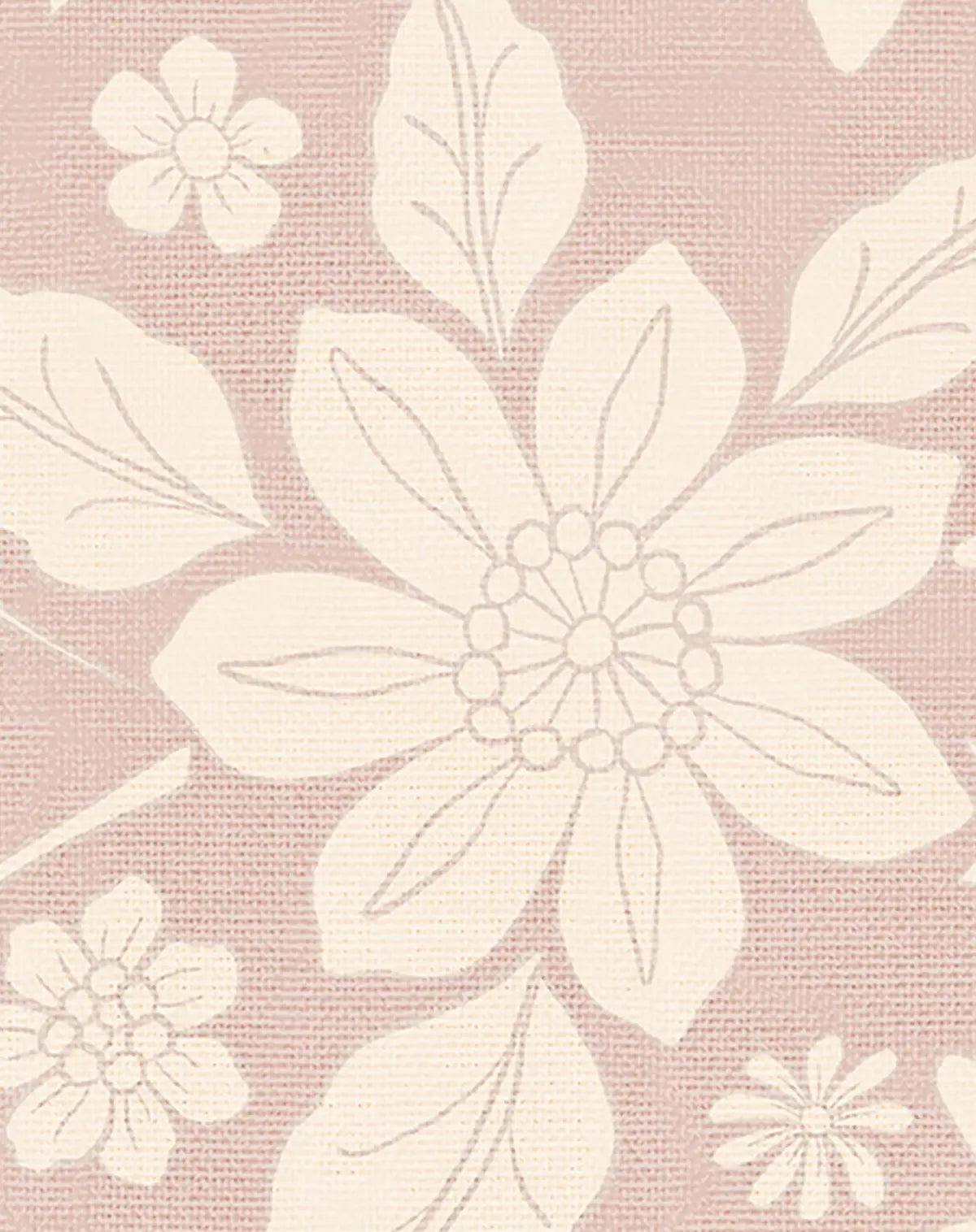 Daisy Blush Wallpaper