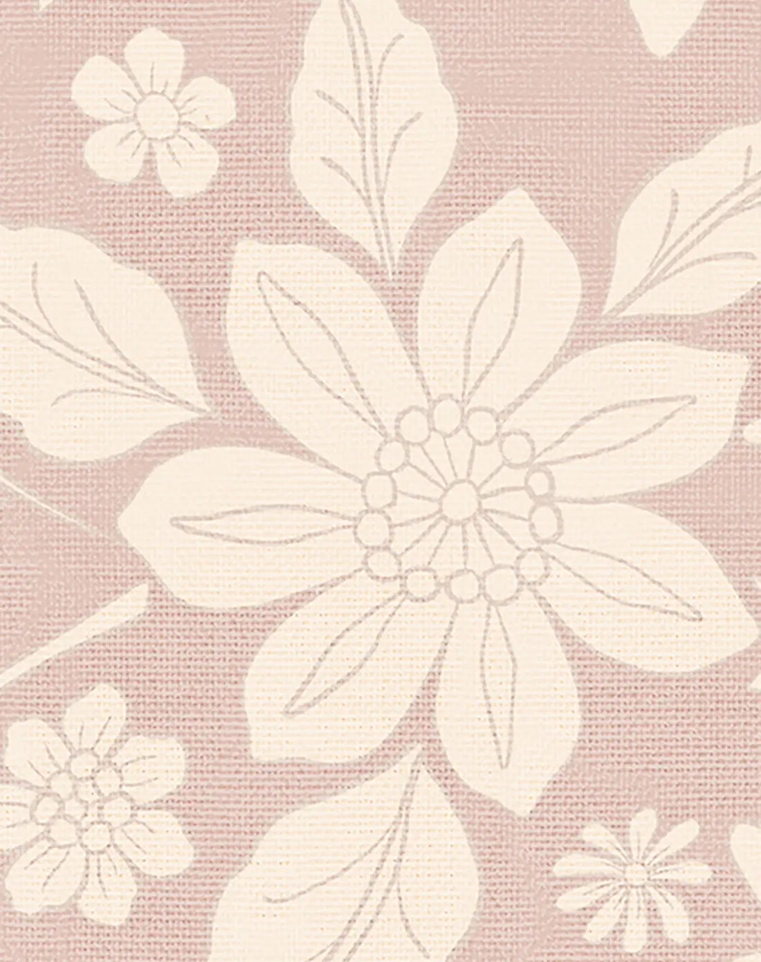 Daisy Blush Wallpaper