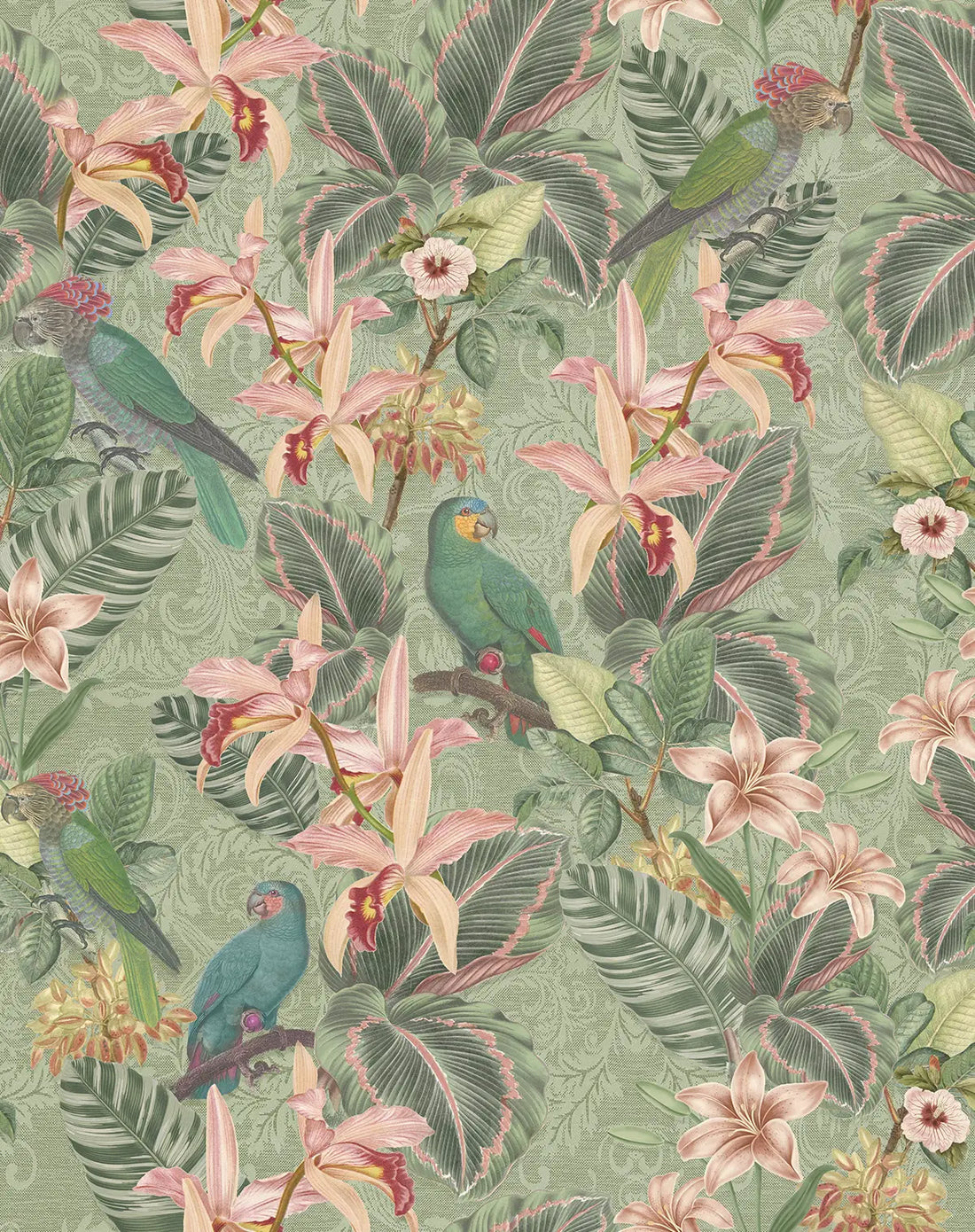 Tropical Parrot Sage Wallpaper