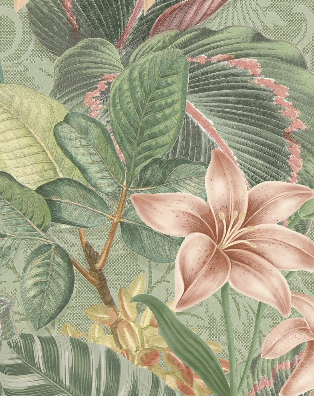 Tropical Parrot Sage Wallpaper