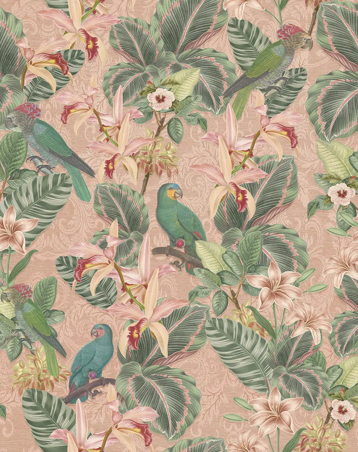 Tropical Parrot Dusty Rose Wallpaper