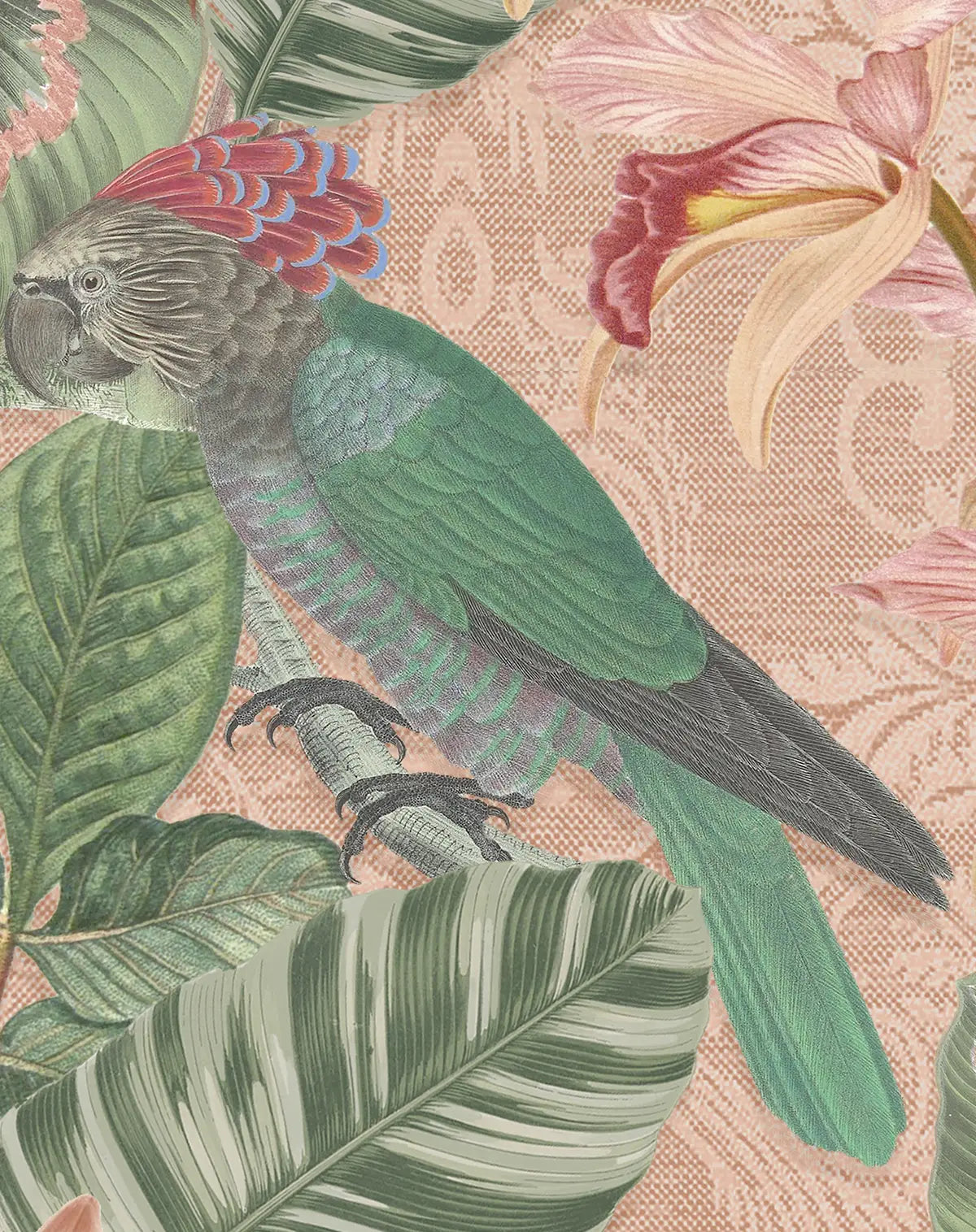 Tropical Parrot Dusty Rose Wallpaper