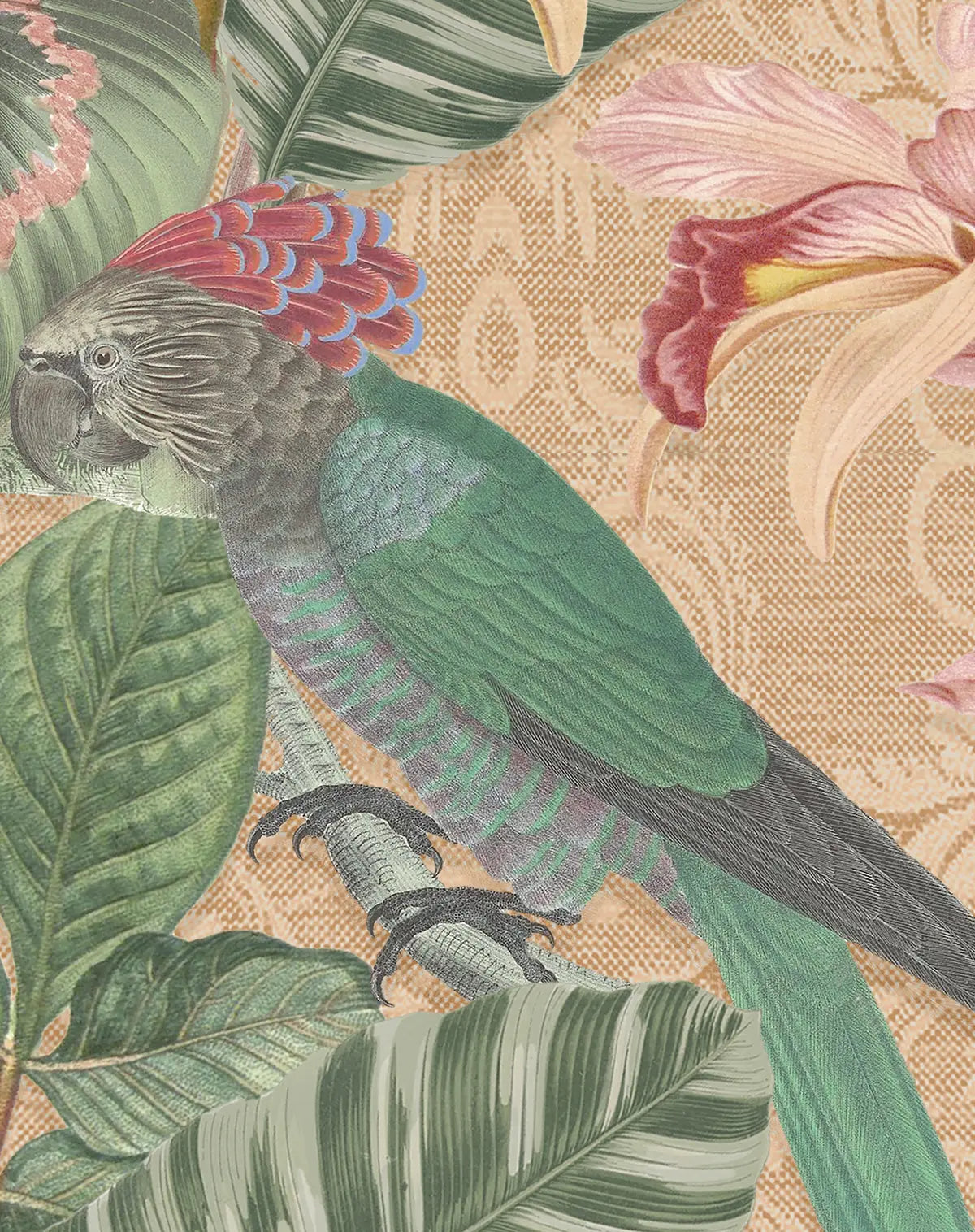Tropical Parrot Beige Wallpaper