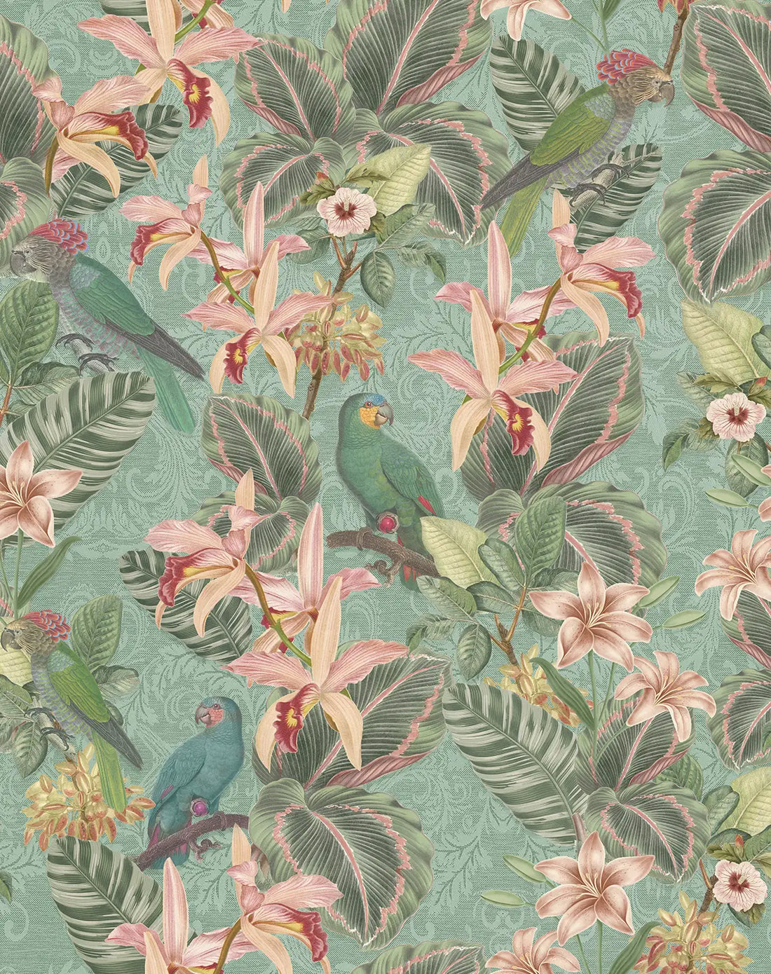 Tropical Parrot Teal Wallpaper