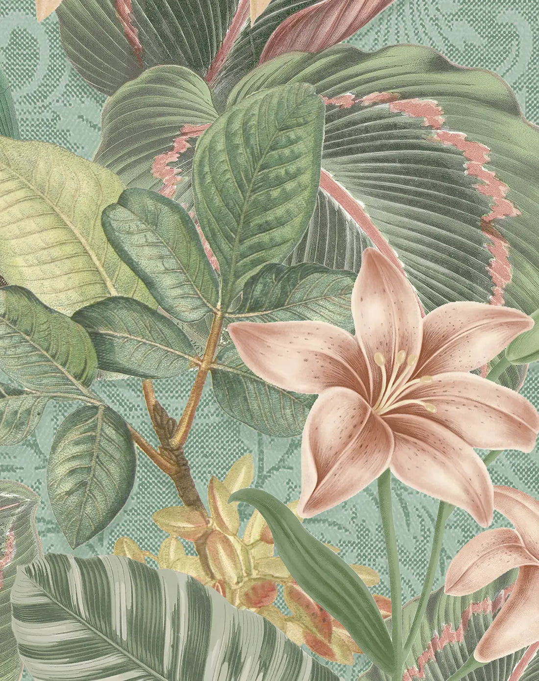 Tropical Parrot Teal Wallpaper