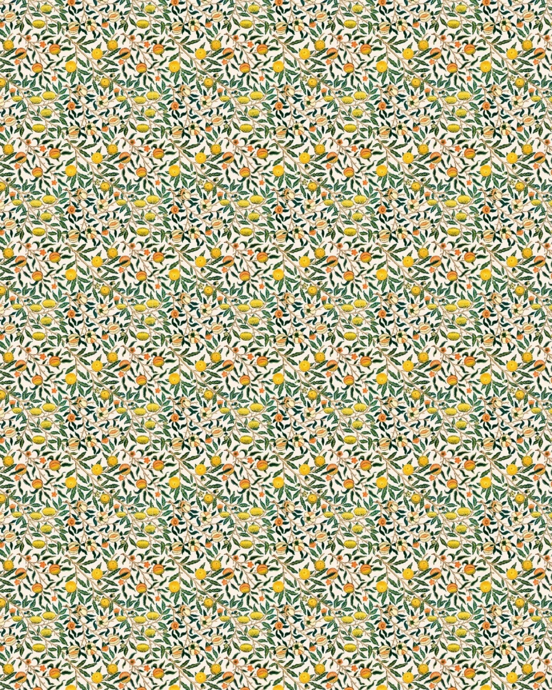 Citrus Garden Delight Wallpaper